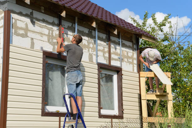 Best Custom Trim and Detailing for Siding  in Wymore, NE